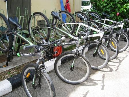 bicycle
