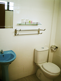 toilet